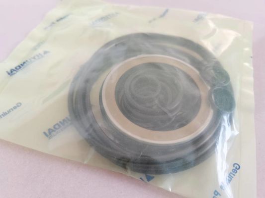 Excavatrice hydraulique Seal Kit Customized XKAY-00553 R210LC-7 R160LC-7